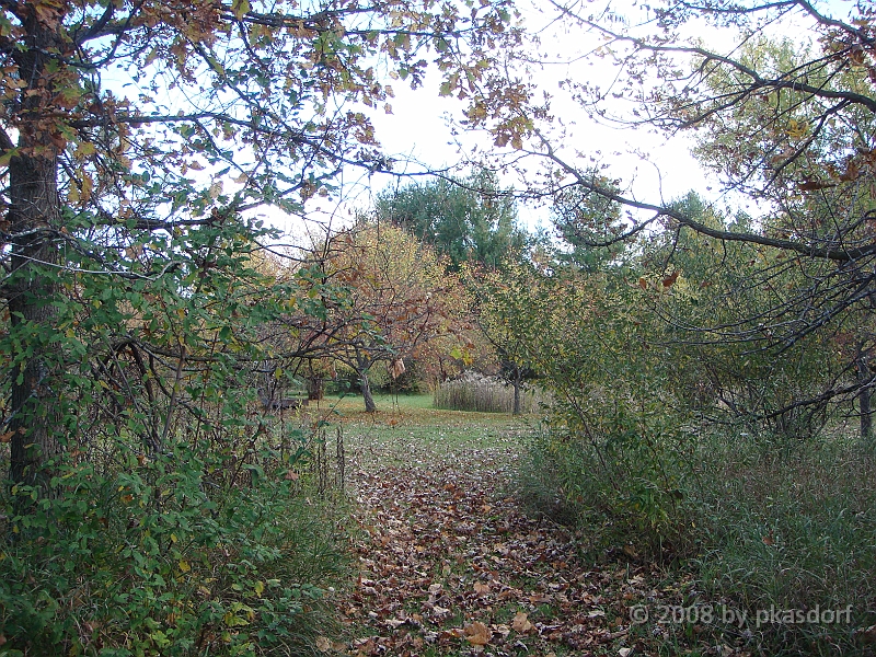 22 Shiawassee National Wildlife Refuge [2008 Nov 5].JPG - Scenes from Shiawassee National Wildlife Refuge in Michigan.